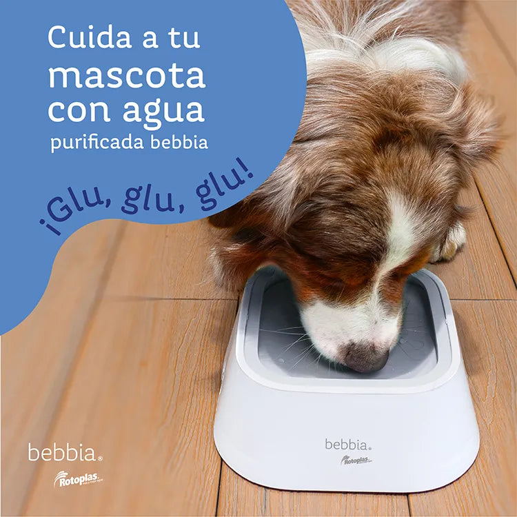 Accesorio Mascotas Rotoplas Plato para mascotas color gris — vista trasera
