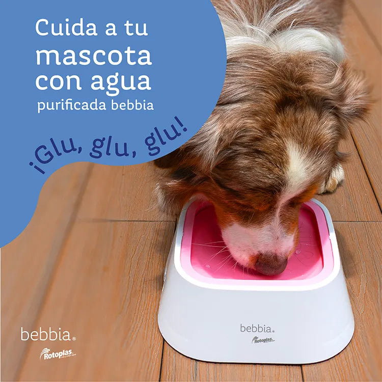Accesorio Mascotas Rotoplas Plato para mascotas color rosa — vista trasera